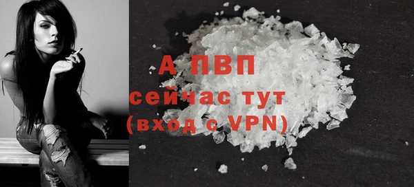 ECSTASY Краснослободск