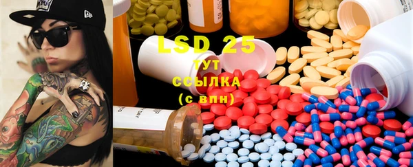 ECSTASY Краснослободск
