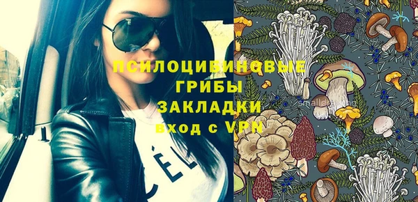 сатива Кукмор